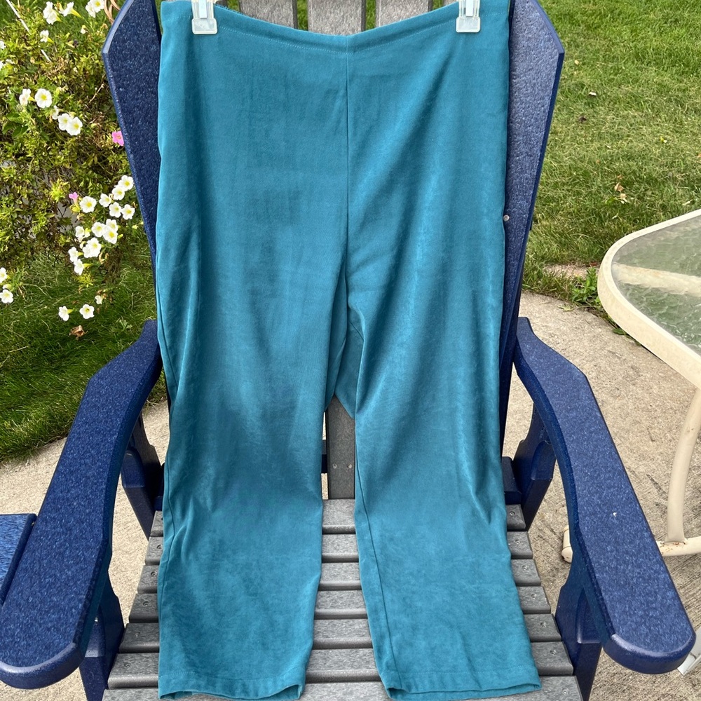Denim&Co Teal Faux Suede Pull On 2 Pocket Flat Front Elastic Back Pants Size 1X